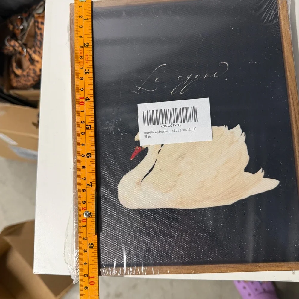 Framed Vintage Swan Canvas Wall Art Le Cygne Black 10x8 Wood Frame New